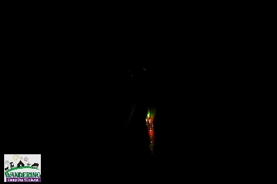 image from 2024