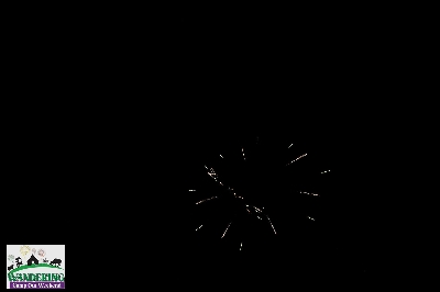 image from 2024