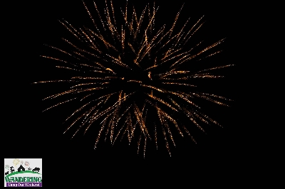 image from 2024